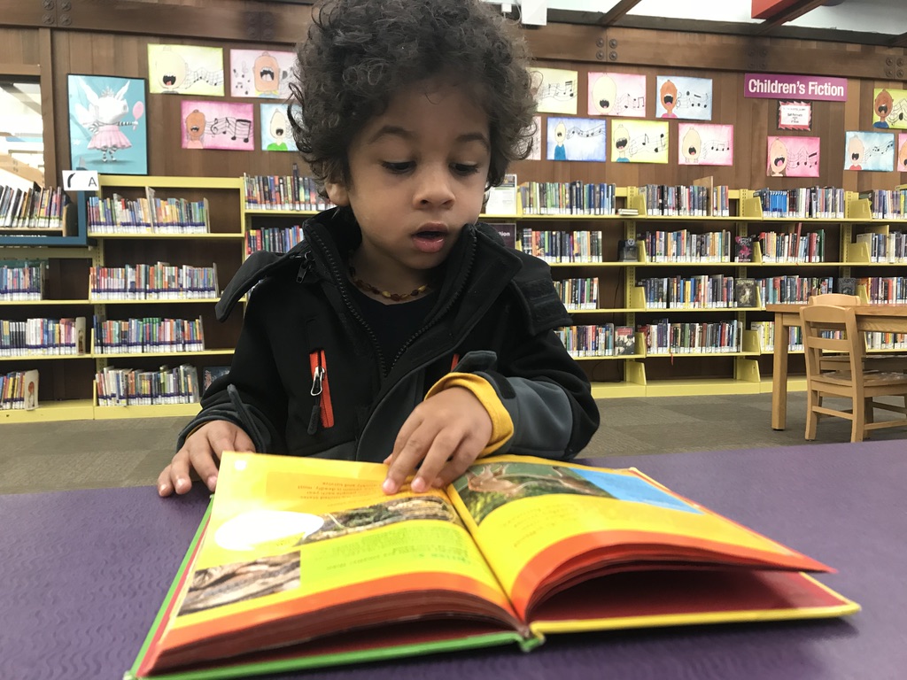 young boy practicing being a successful reader by reading at the library