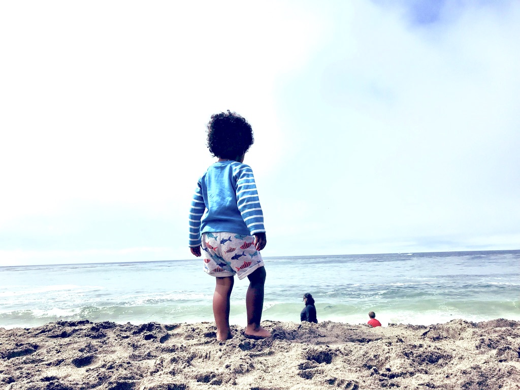 Santa Cruz beach with a toddler