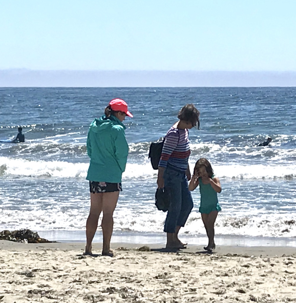 santa cruz with kids