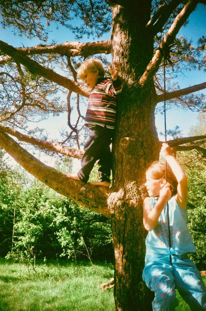Young boy showing off his confidence as he climbs in a tree and a young girl sitting a tree swing 