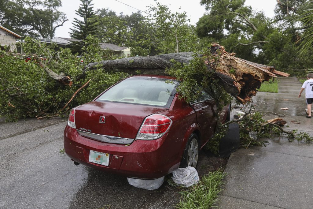 car with fallen tree branch on top after tropical storm