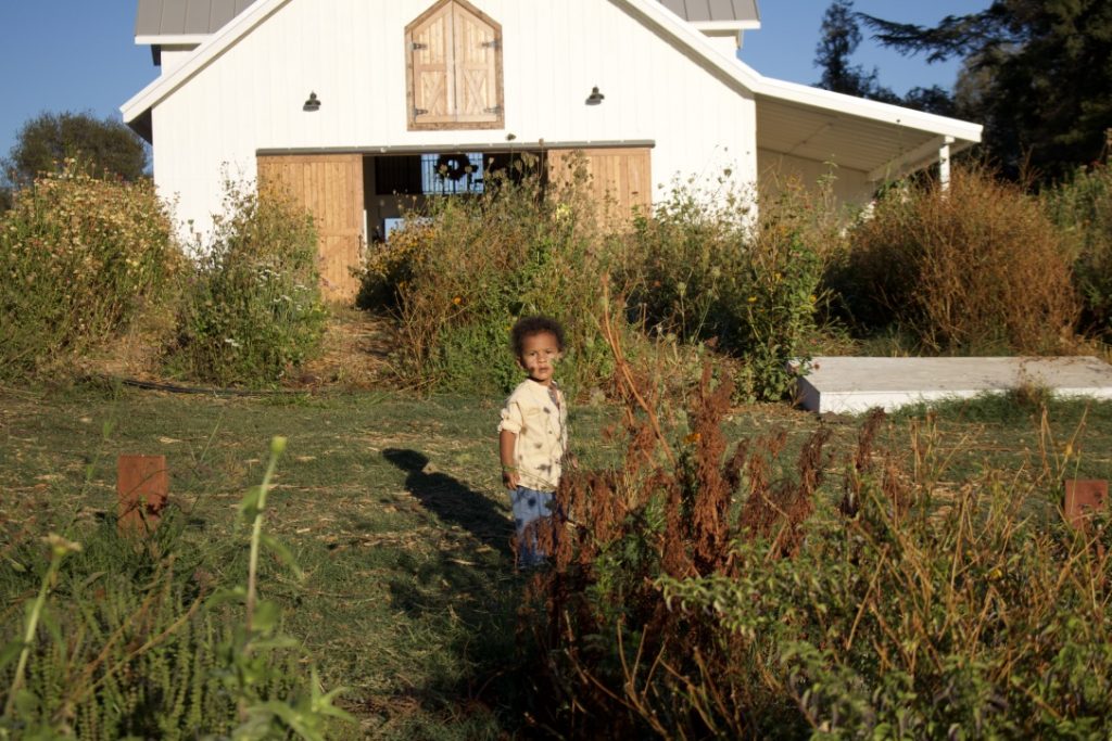 boy standing in the garden in front fo barn at bed and breakfast