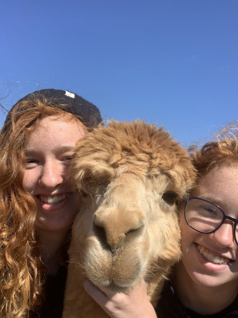 two girls having fun at the zoo with a camel