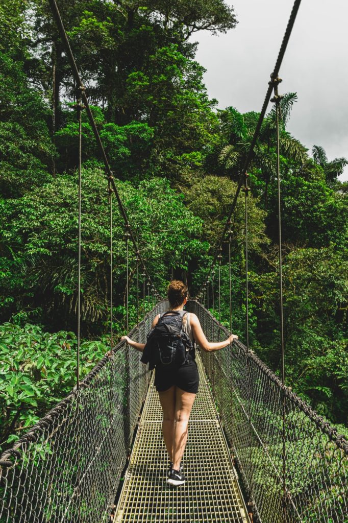 hiking bridge in the jungle of costa rica