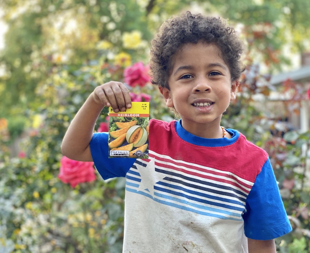 five year old in red white and blue shirt happy to plant heirloom melons in garden bed